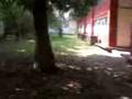 videos de la leyenda de 