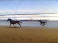 costa rica trip