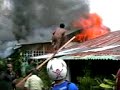 zachodnia papua nieprofesjonalne gaszenie