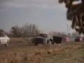 tribute to used cars-bad to the bone