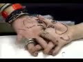 Nightmare - Hand Elephants