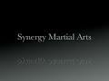 Synergy Intermediate Form 3
