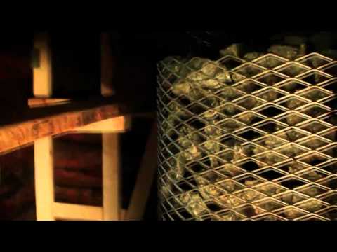 Video of Hiie talu Holiday Village