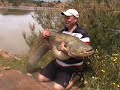 catfish fishing river ebro spain