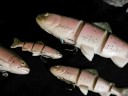 TackleTour - The 2008 Anglers Marine Bass-A-Thon