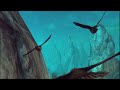 Trailer-Bild