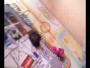 Motor el�trico simples
