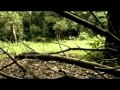 eksperimen film perang