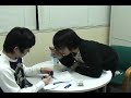犬動画