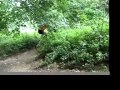 TRIPLE FUN 2007