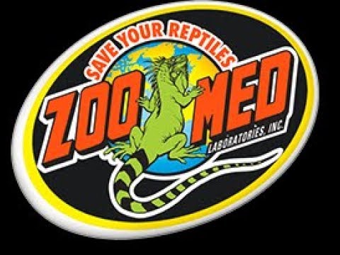 YouTube reptile video