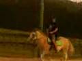 videos de Tre playing withbig boy lol xp