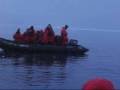 Inquisitive Minke Whales in Antarctica