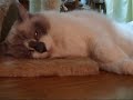 ????????????????????When you sleep, please close its eyes