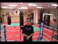 videos de Master Mehrdad