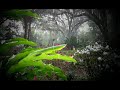 R D Burman::Rim Jhim Gire Sawan