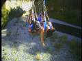 videos de Izza & Trisha's extreme flying fox experience