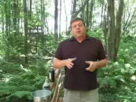 how to eliminate skunk odor