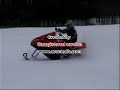 Snow Hawk