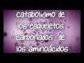 Proteínas Proteínas