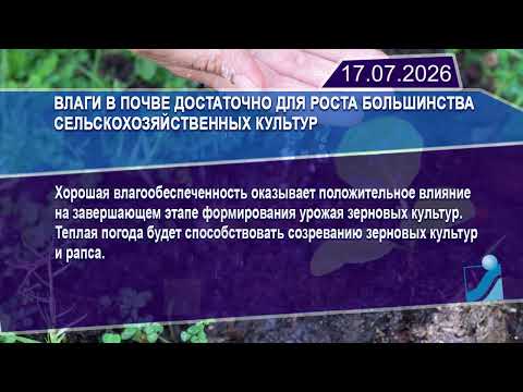 Новостная лента Телеканала Интекс 17.07.26.