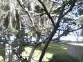 2009-12-03 09-20-00.550.wmv