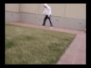 shuffle