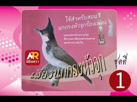 เสียงนกกรงหัวจุก - เสียงร้องนกกรงหัวจุกต่างๆ หลากหลายเสียง.
