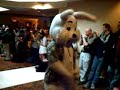 Further Confusion 2008 Fursuit Parade (Part 1 of 2) Further Confusion 2008 Fursuit Parade (Part 1 of 2)