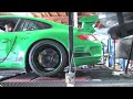 PetFrog Dyno PetFrog Dyno