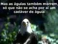 A aguia