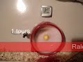 Mes hamsters dans leur roue de comp�te �