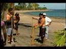 reforestacion las Palmitas
