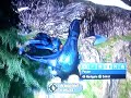 Halo 3 Banshee skyjack from Mongoose (alternate angle)