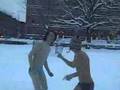 Budgy Smugglers