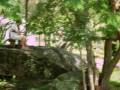 videos de PA160683.AVI