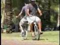 BI-CYCLE