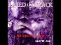 Razed in Black - Master (With Lyrics)