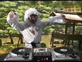 DJ QBert Battle - Lamb Chops DJ QBert Battle - Lamb Chops