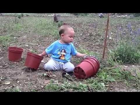Toria's Vlog Day 7 - Our New Organic Vegetable Growing Project.