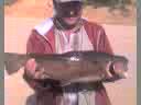 Truchon de elnudos