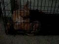MVI_6022.AVI