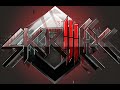 Birdy Nam Nam – Goin' In (Skrillex Goin' Hard Mix) + MP3 Download HQ