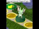 videos de Neopets Keyquest Token - Speckled Acara