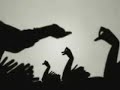 Shadow Puppets
