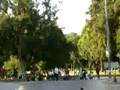 Jake SK8 #2