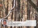 Homes for Sale Waleska GA Steve Allen