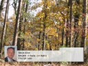Homes for Sale Waleska GA Steve Allen