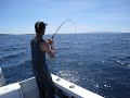 port lincoln blue morwong