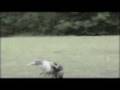 1957 Newsreel Found